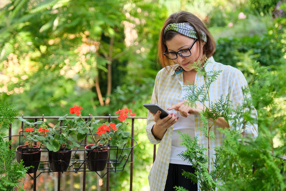 Campagne SMS marketing en ligne: une stratégie efficace pour booster votre business
