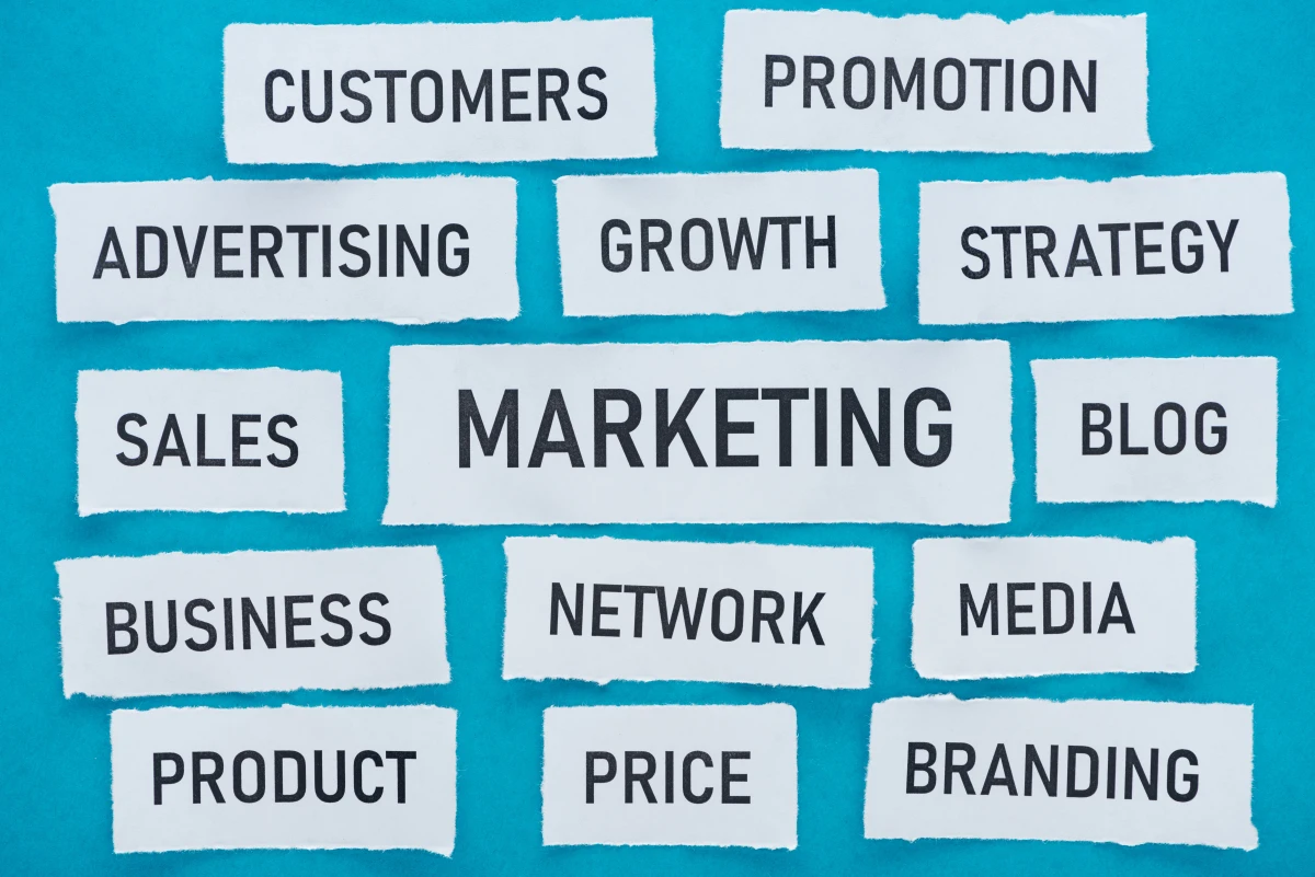 Révolution visuelle : Les stratégies gagnantes du marketing de contenu B2B en 2024